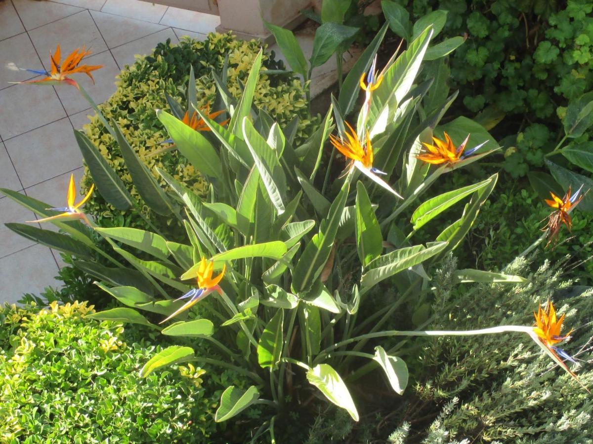 Villa Verde Apart-Hotel Nea Makri Exterior photo